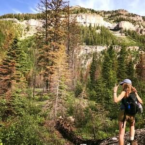 Meet your Posher, Calle